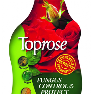 Toprose Fungus Control